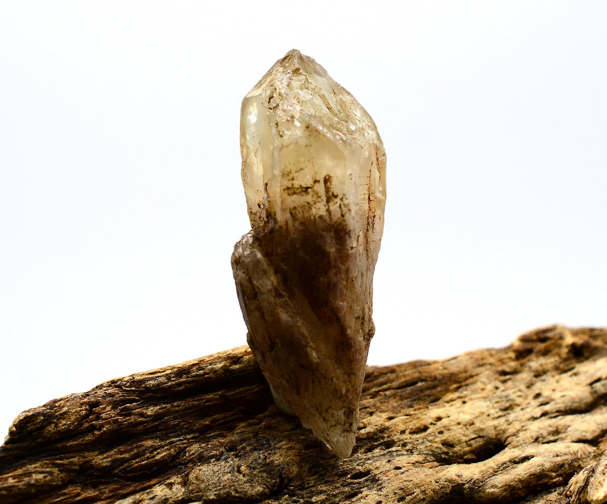 Natural Congo Citrine ~ Kundalini Quartz