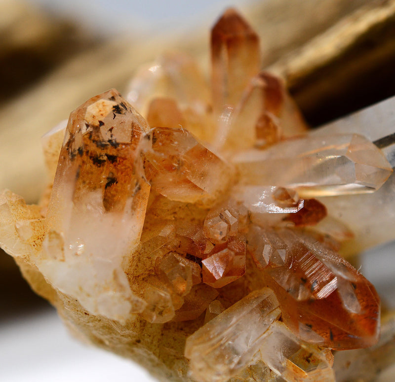 Brandberg Golden Healer Harlequin Cluster