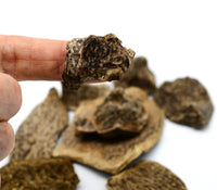 Organic Vietnamese Agarwood Chips