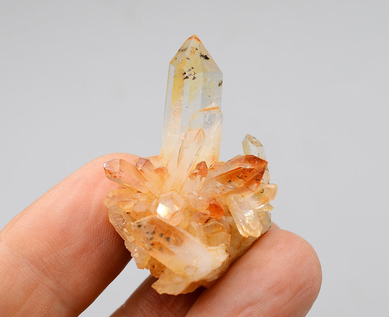 Brandberg Golden Healer Harlequin Cluster