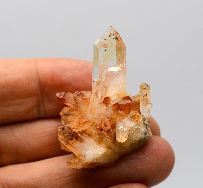 Brandberg Golden Healer Harlequin Cluster