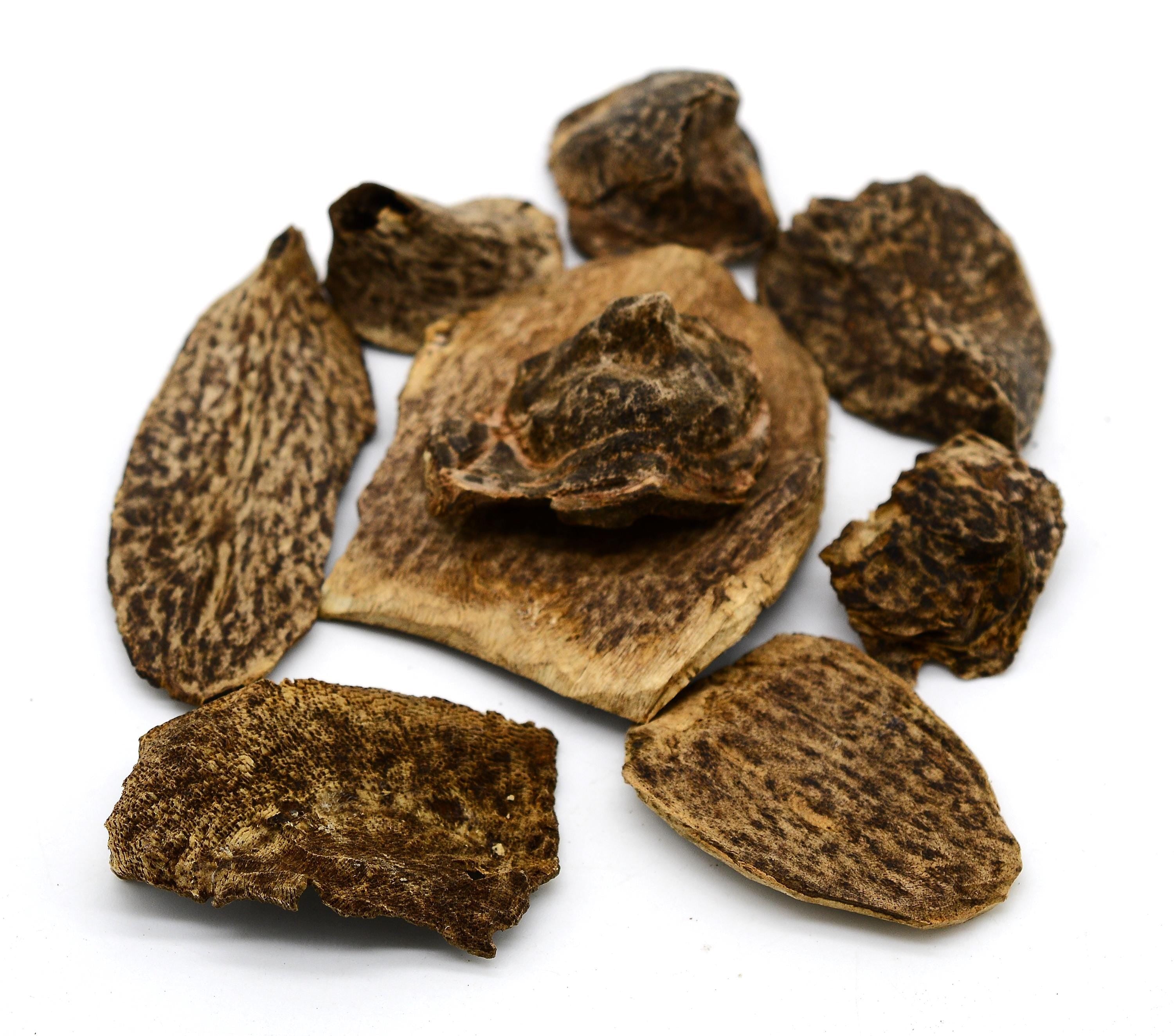 Premium Organic Vietnamese Agarwood - Large Piece – Kacha Stones