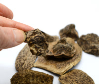 Organic Vietnamese Agarwood Chips