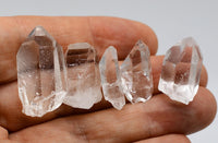Himalayan Quartz Crystals