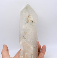 Himalayan Quartz Crystal with Green Chlorite