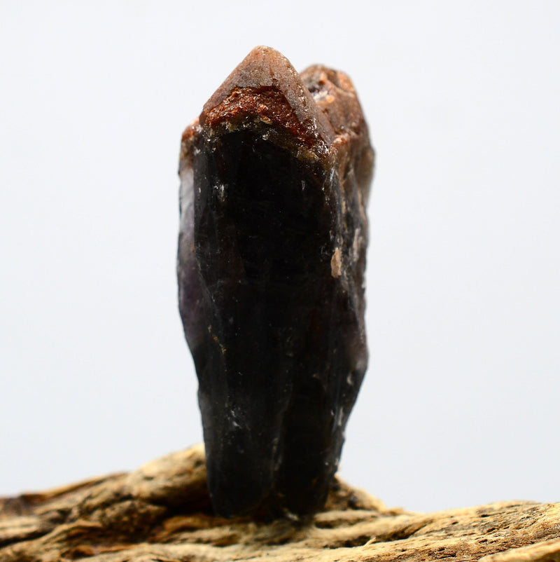 Auralite 23
