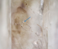 Brandberg Smoky Phantom Enhydro Quartz