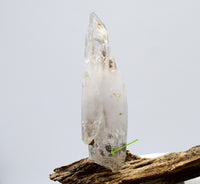 Omapeleki Brandberg Tantric Twin Negative Manifestation Enhydro