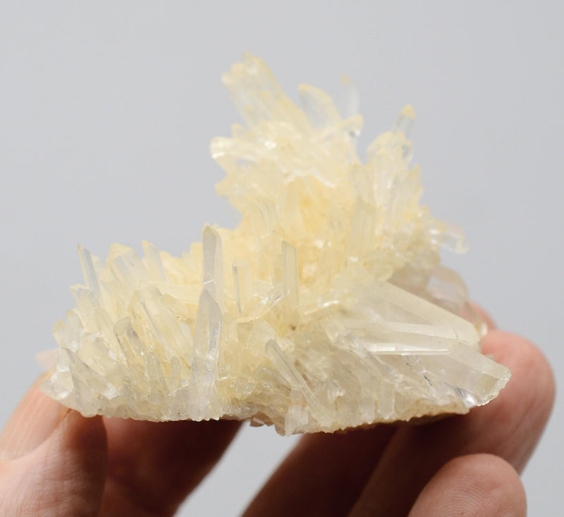 Himalayan Laser Quartz Cluster