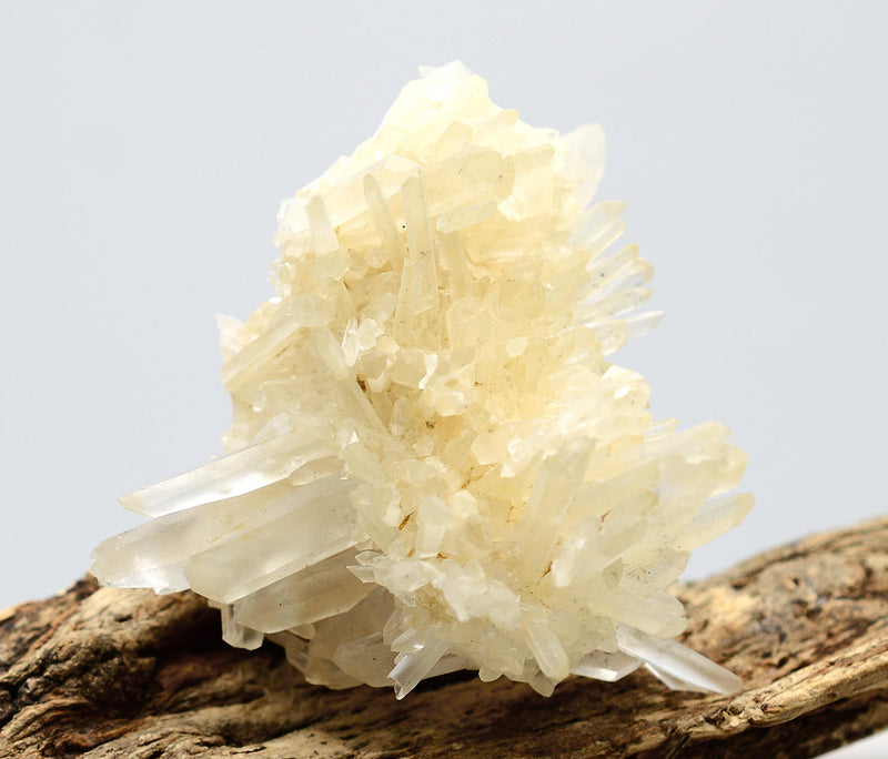 Himalayan Laser Quartz Cluster
