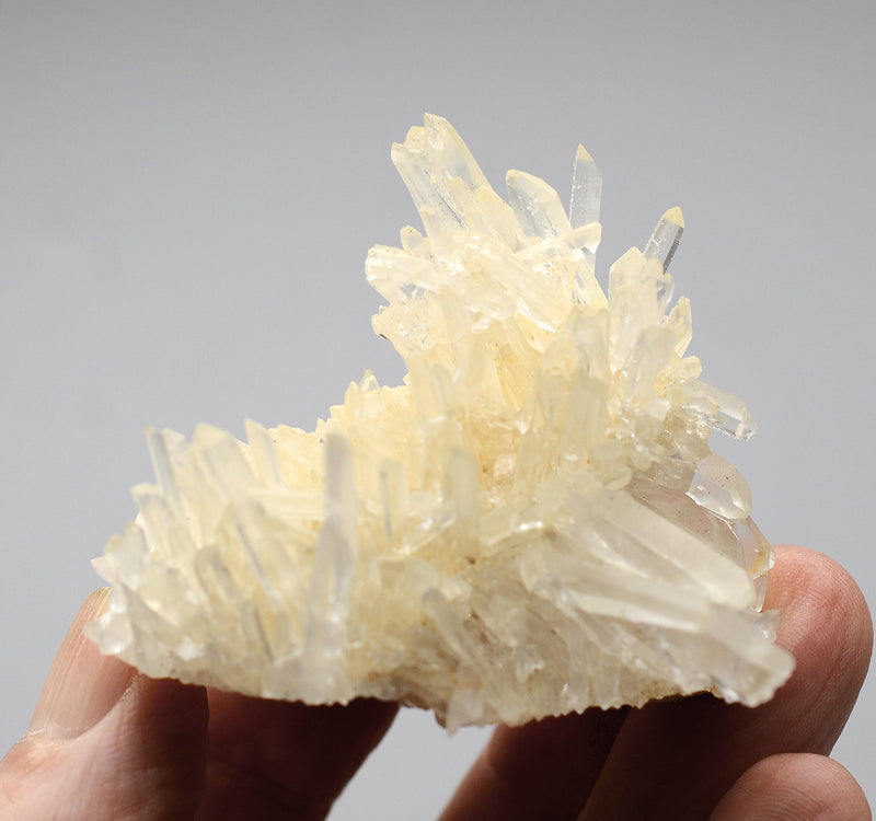 Himalayan Laser Quartz Cluster