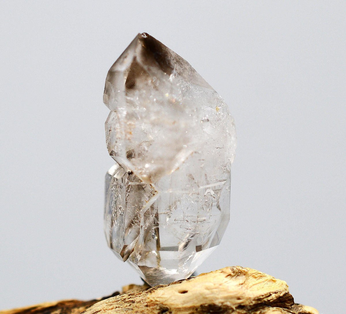 Omapeleki Brandberg Master Self-Healed Smoky Elestial DT