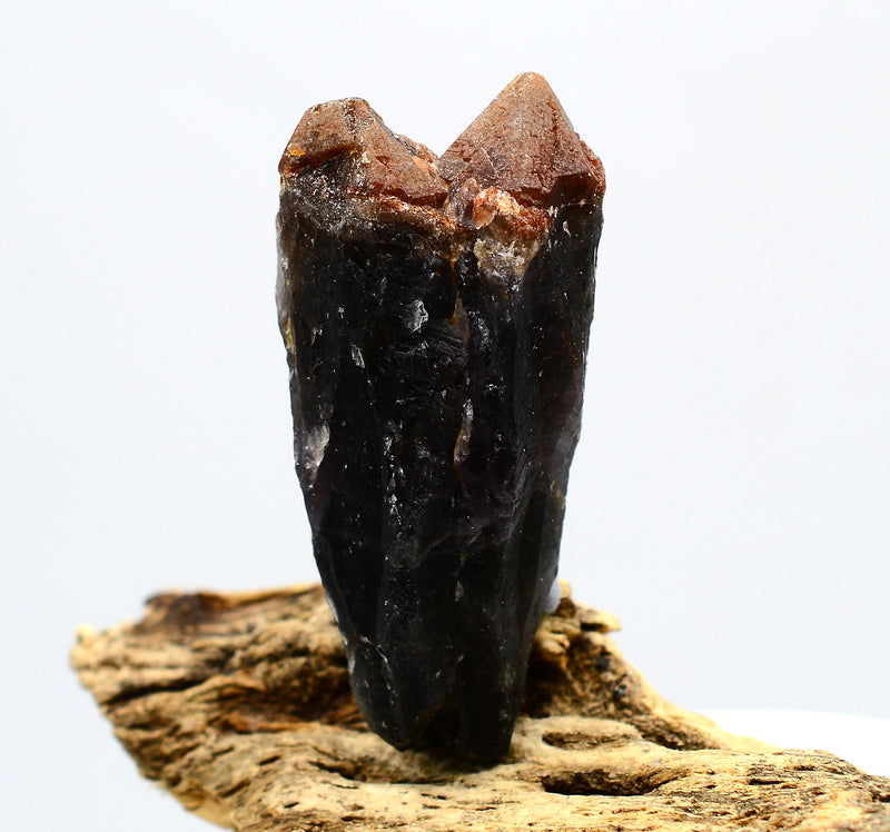 Auralite 23