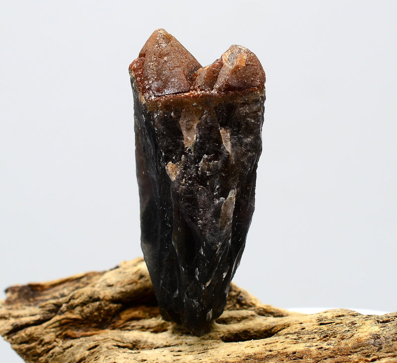 Auralite 23