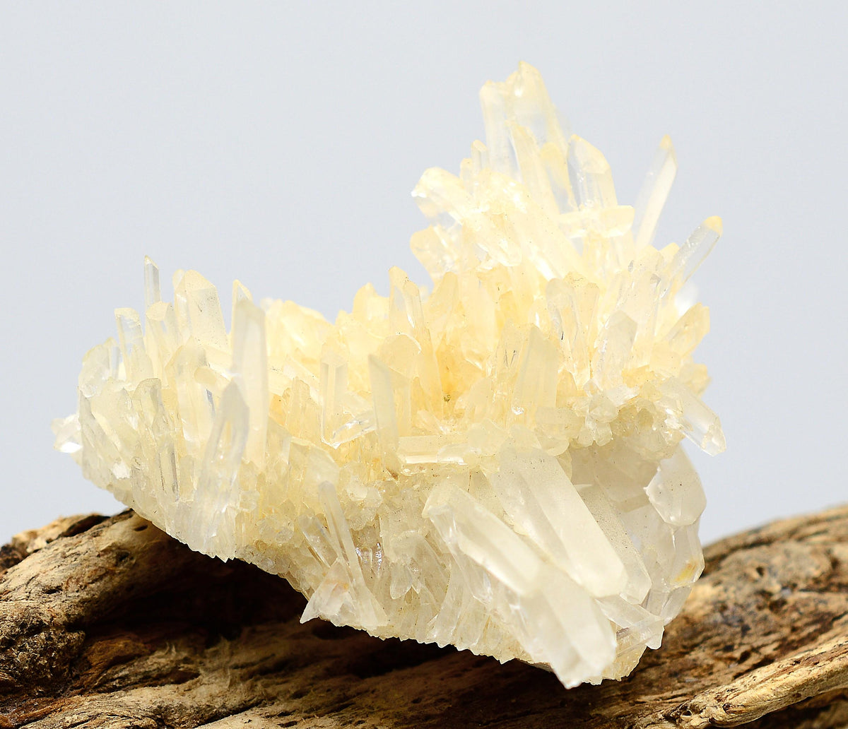 Himalayan Laser Quartz Cluster