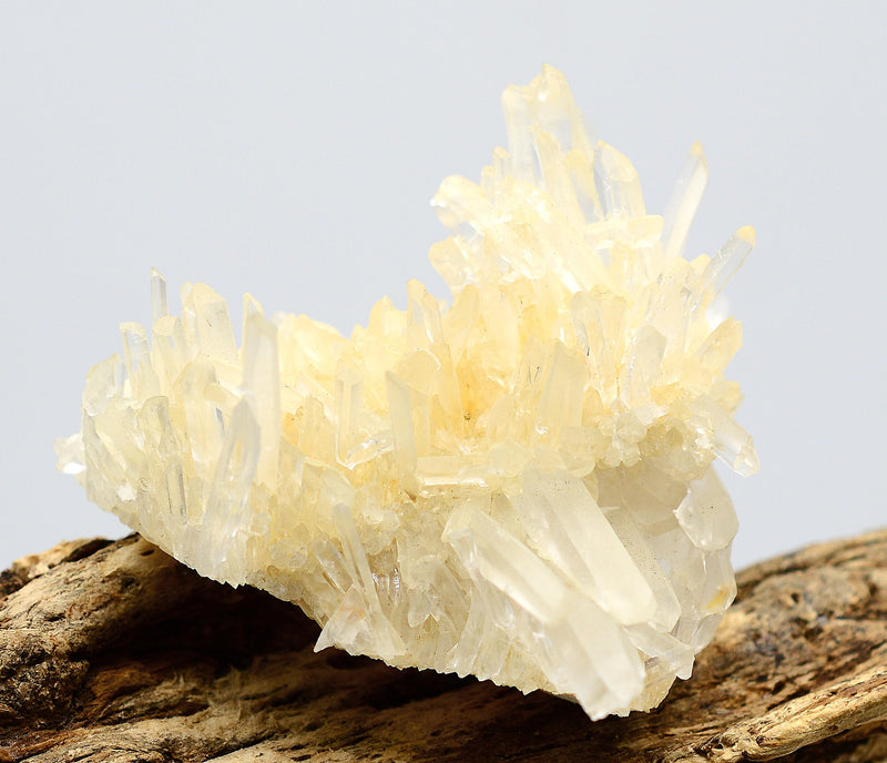 Himalayan Laser Quartz Cluster