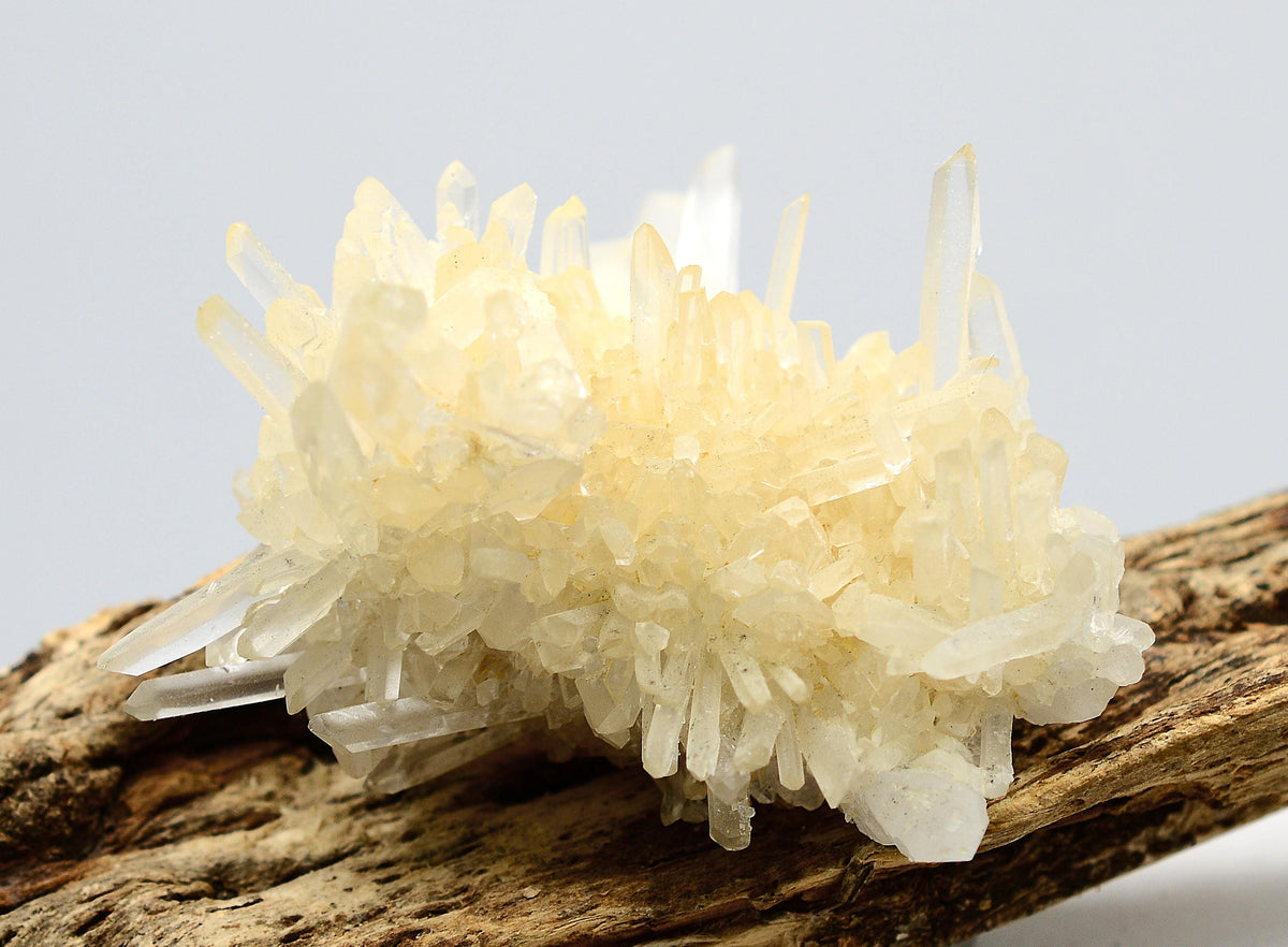Himalayan Laser Quartz Cluster