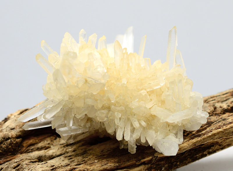 Himalayan Laser Quartz Cluster