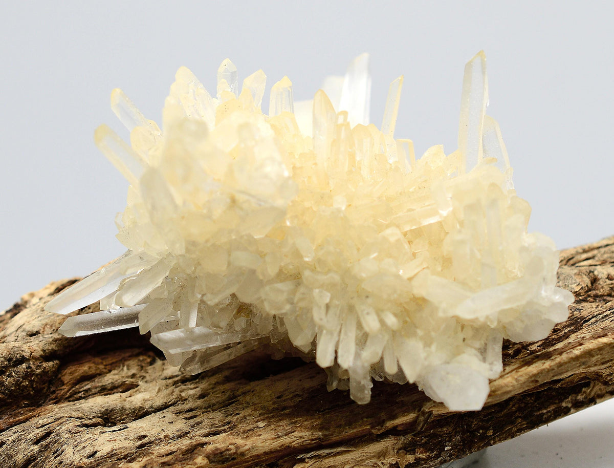 Himalayan Laser Quartz Cluster