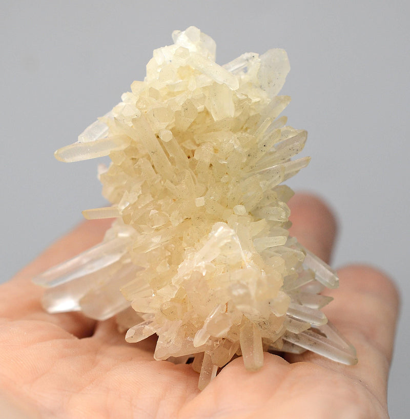 Himalayan Laser Quartz Cluster