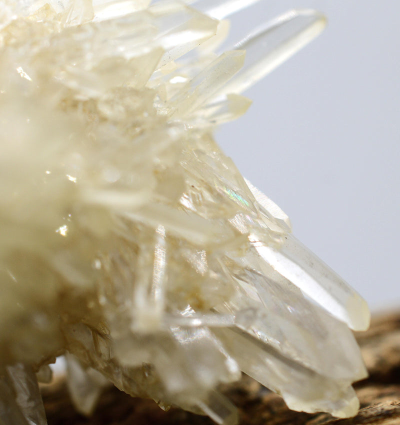Himalayan Laser Quartz Cluster