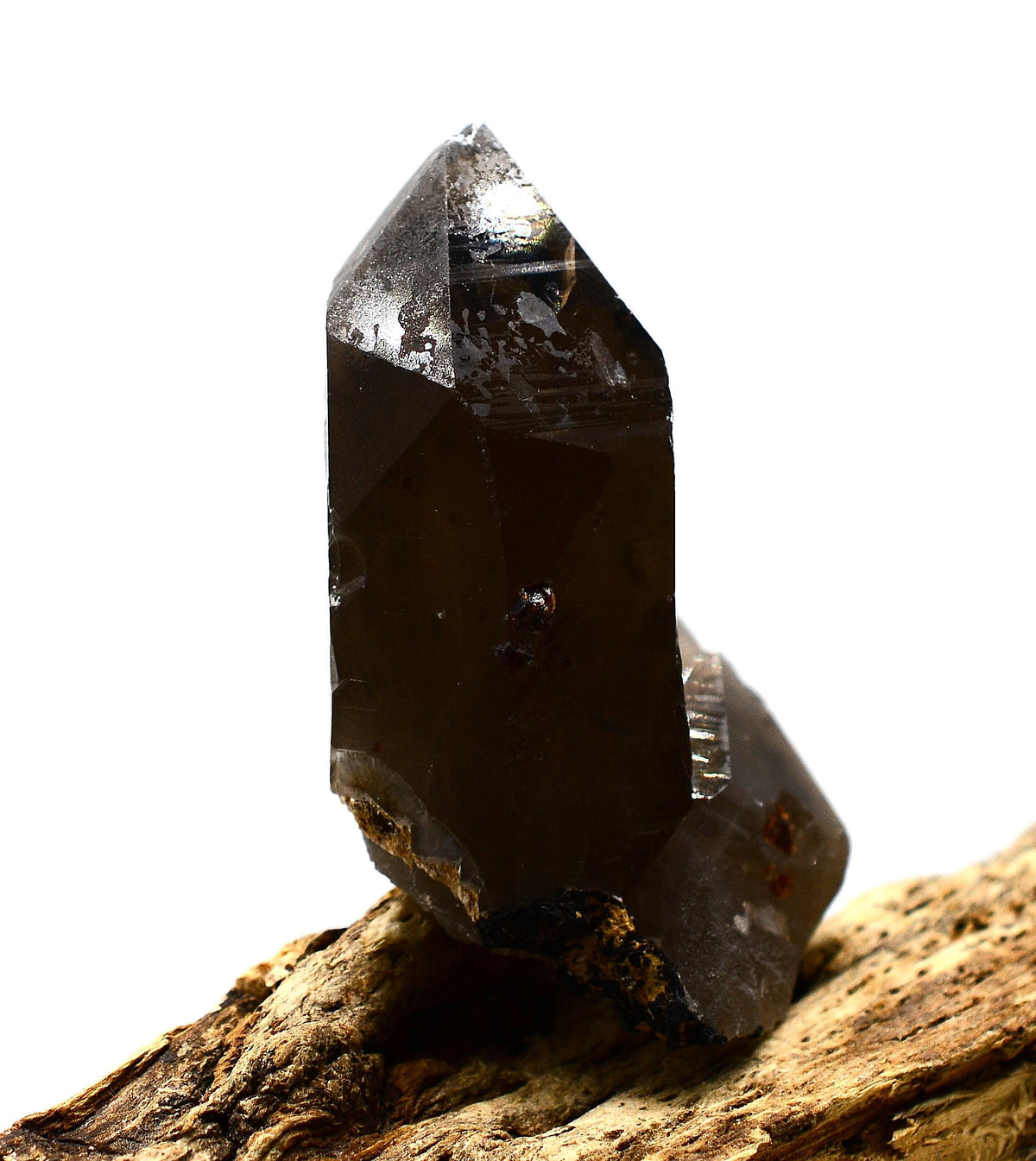 Spessartine Garnets on Self-Healed Smokey Quartz