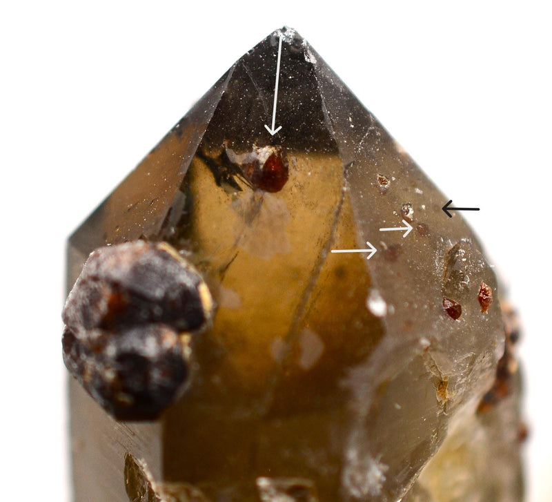 Spessartine Garnets on & IN Smoky Generator Quartz