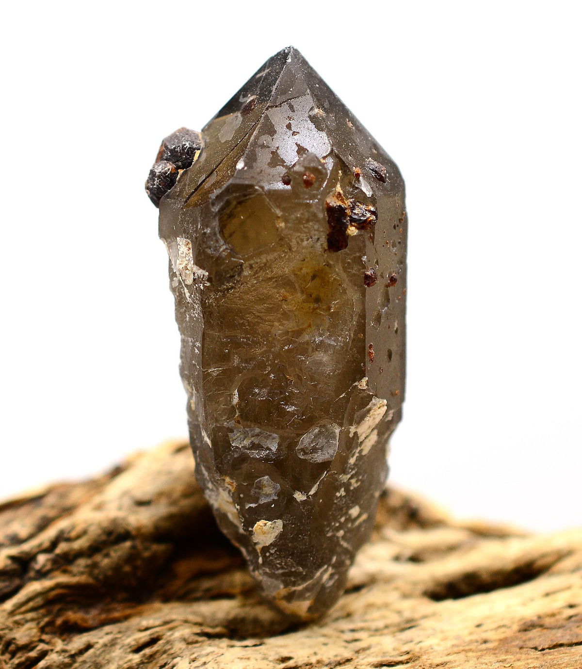 Spessartine Garnets on & IN Smoky Generator Quartz