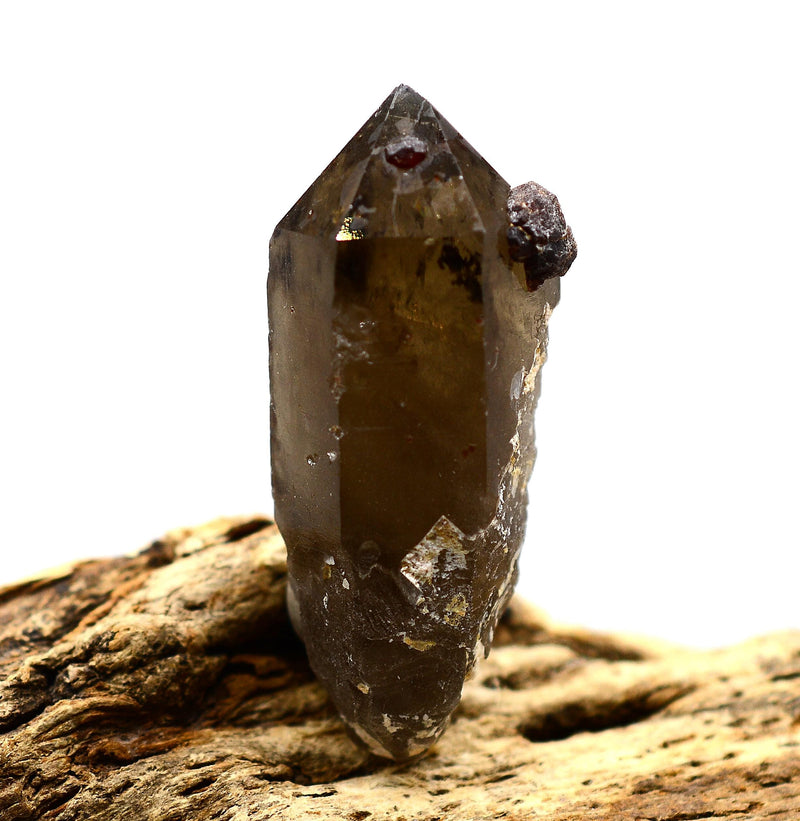 Spessartine Garnets on & IN Smoky Generator Quartz