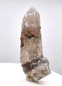 Spessartine Garnets on Self-Healed Smoky Manifestation Quartz