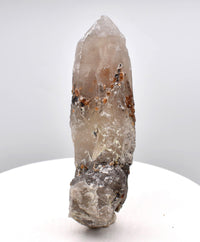 Spessartine Garnets on Self-Healed Smoky Manifestation Quartz