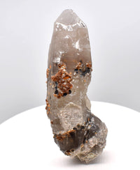 Spessartine Garnets on Self-Healed Smoky Manifestation Quartz