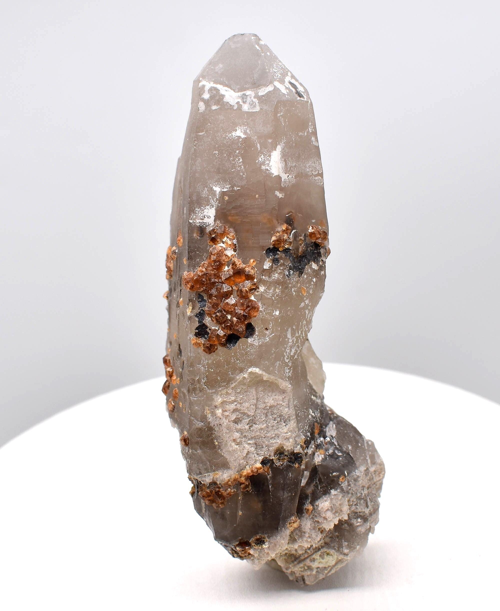 Spessartine Garnets on Self-Healed Smoky Manifestation Quartz