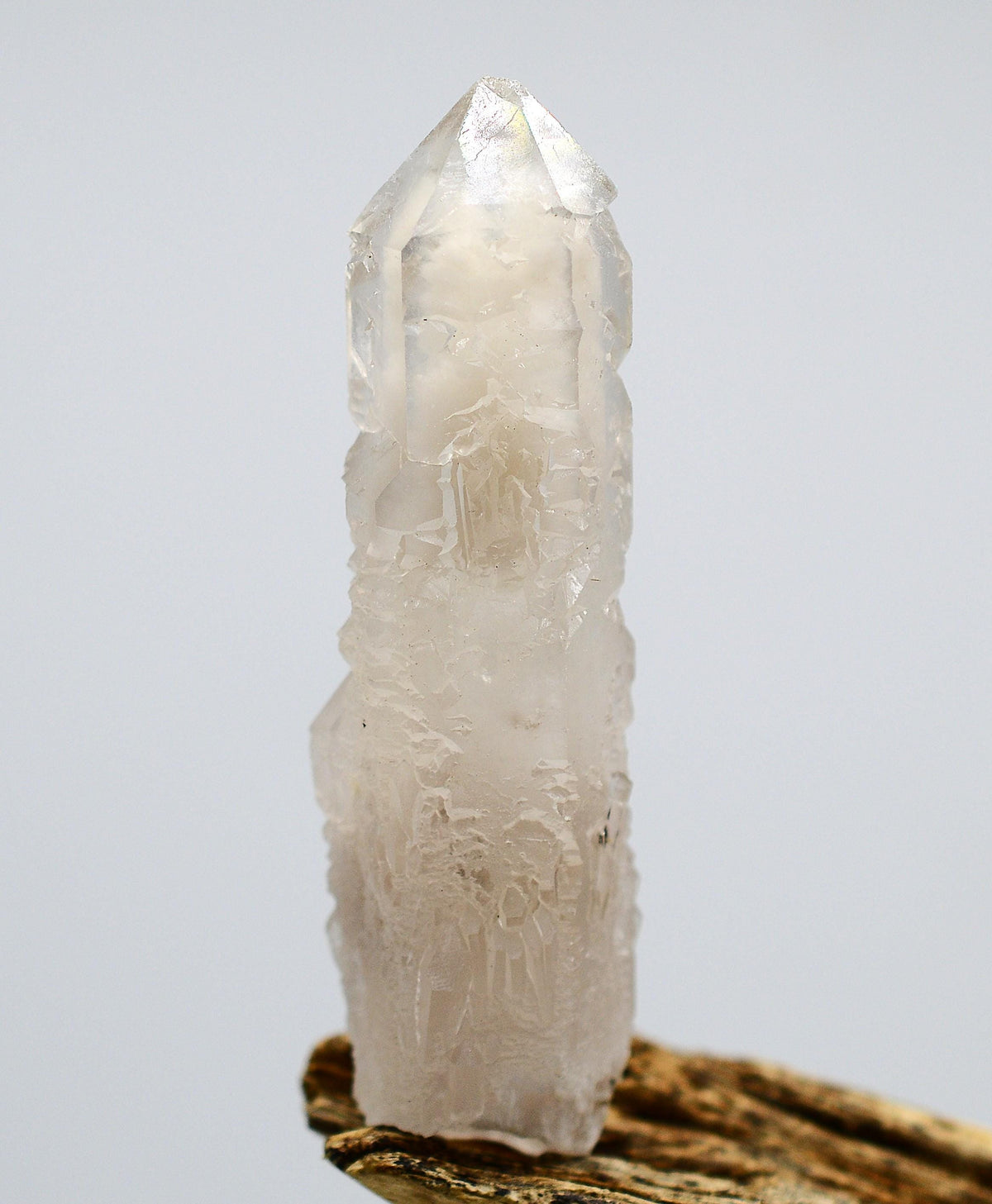 Mongolian Etched White Phantom Generator
