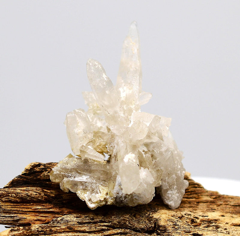 Königstein Brandberg Quartz