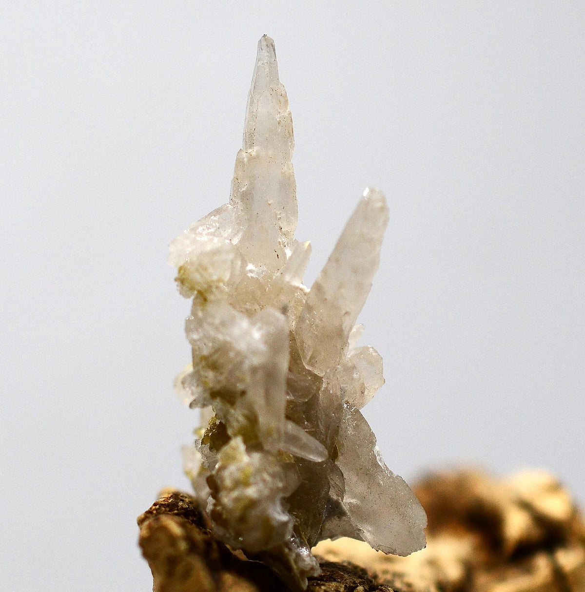 Königstein Brandberg Quartz