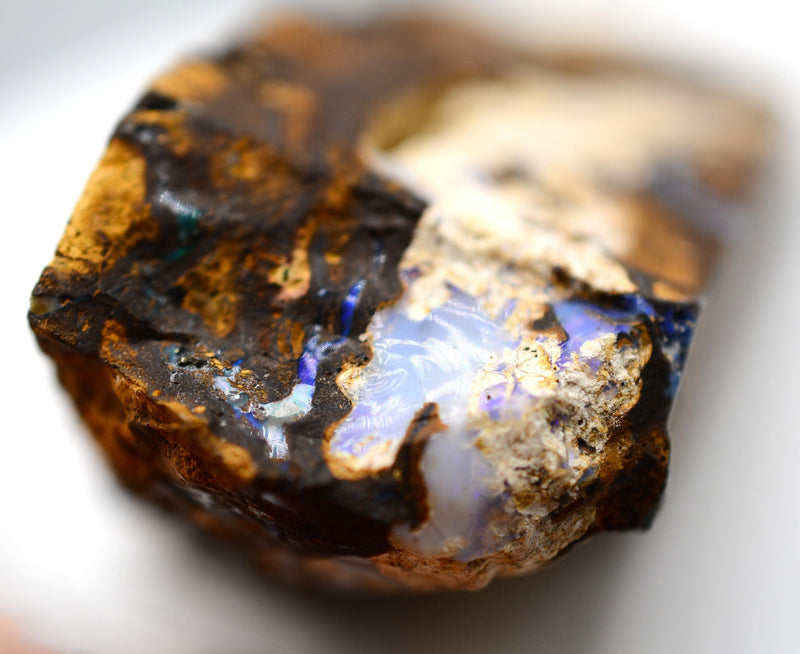 Rough Boulder Opal
