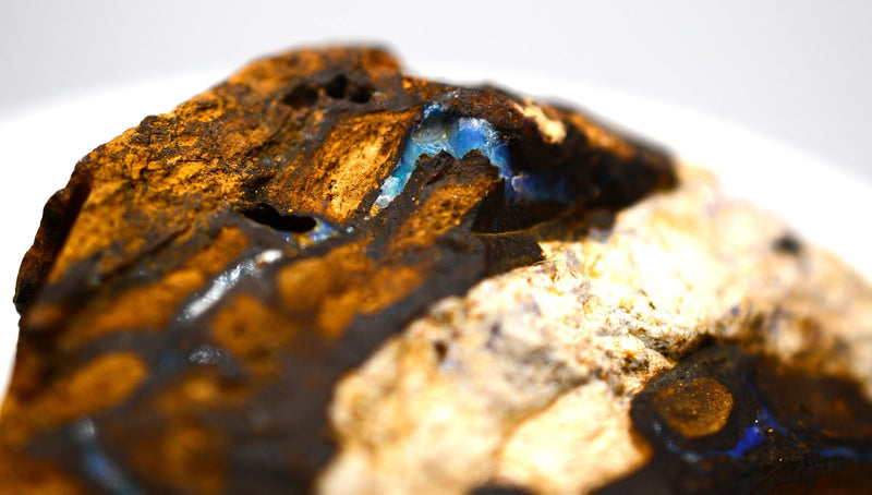 Rough Boulder Opal