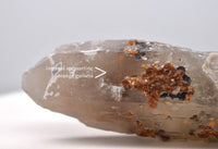 Spessartine Garnets on Self-Healed Smoky Manifestation Quartz