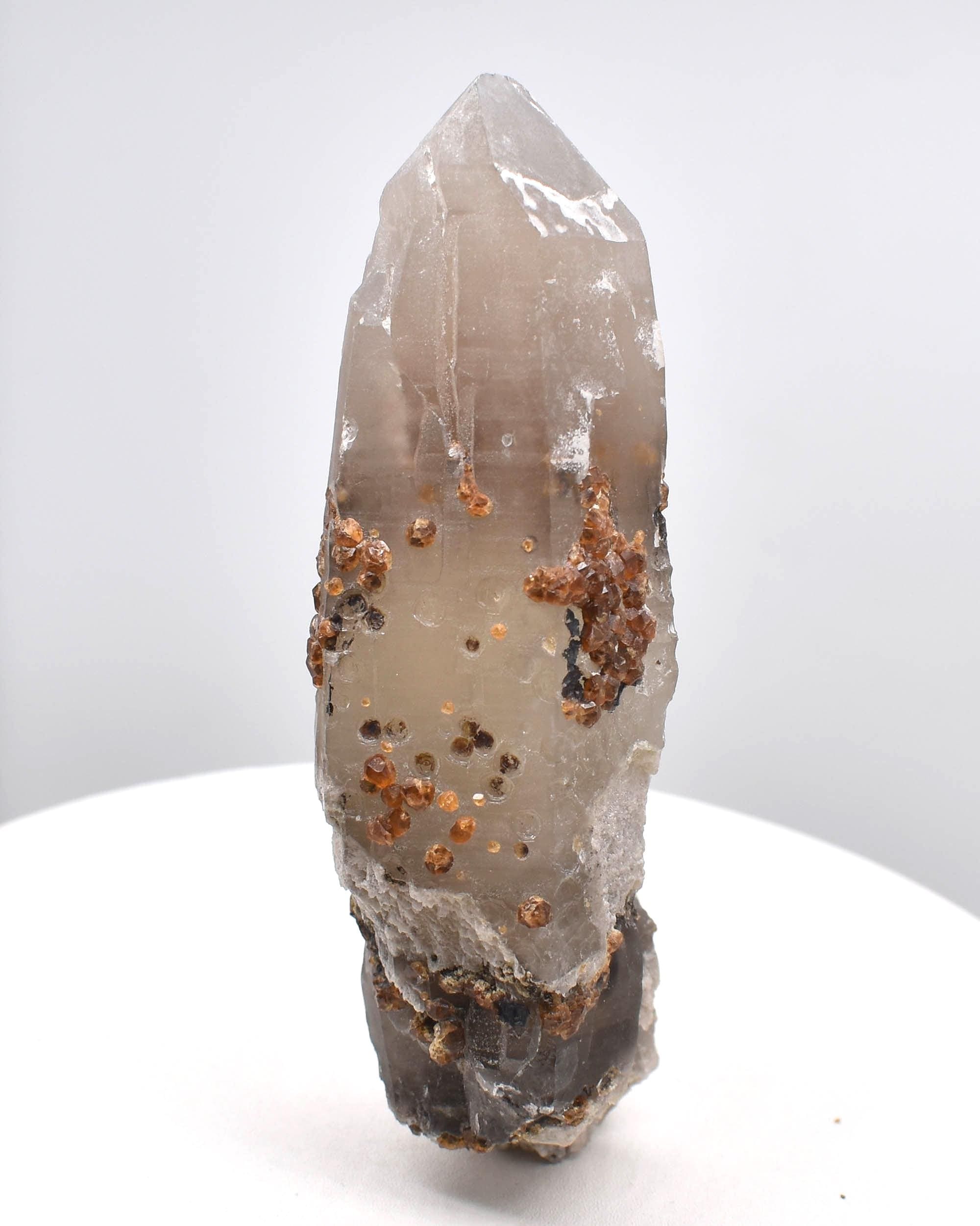 Spessartine Garnets on Self-Healed Smoky Manifestation Quartz