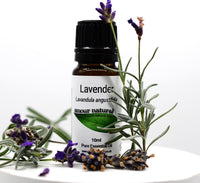 Pure Lavender Essential Oil ~ 10ml