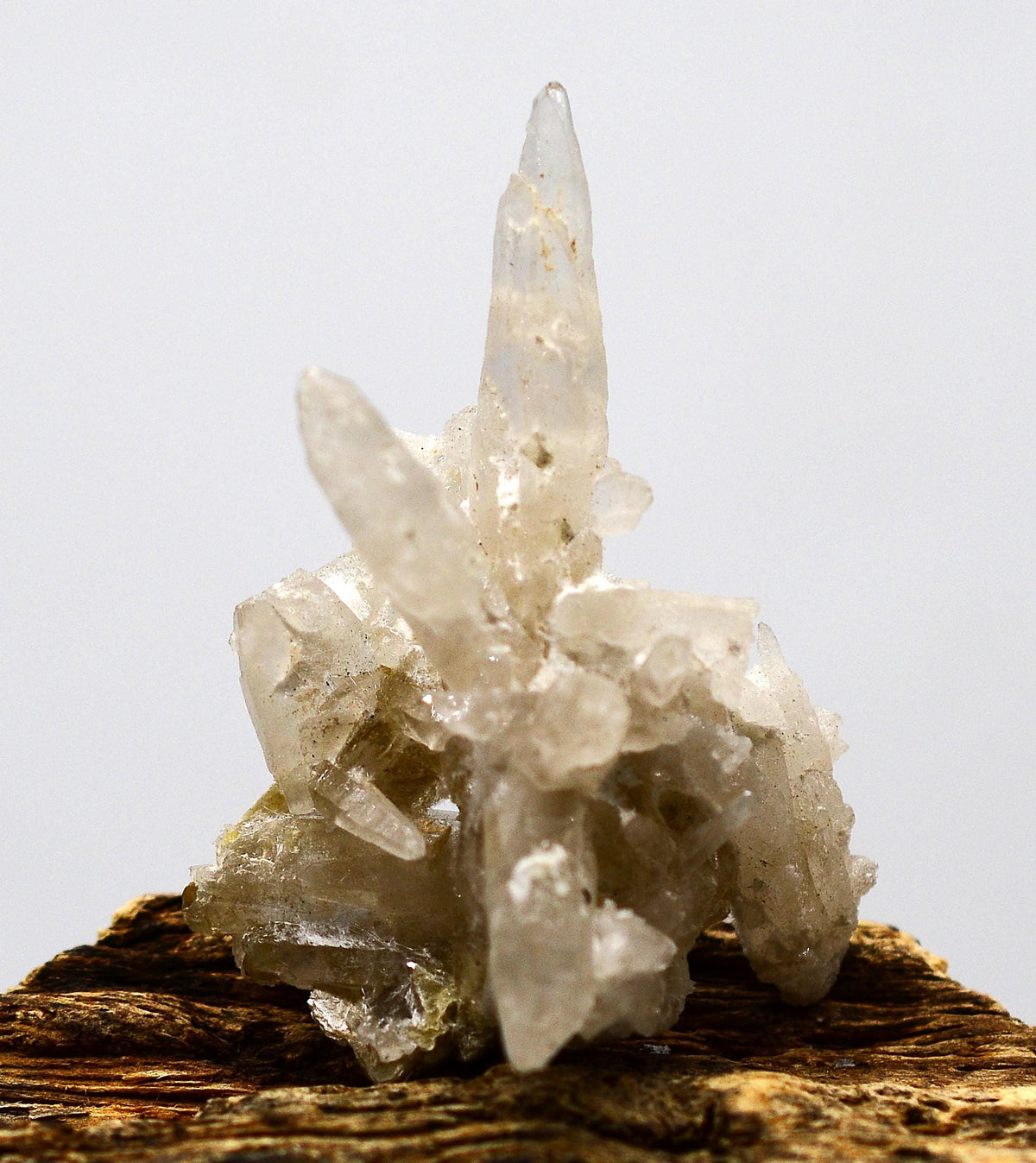 Königstein Brandberg Quartz