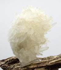 Himalayan Laser Quartz Cluster