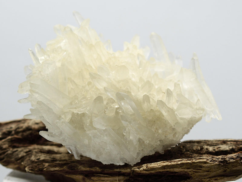 Himalayan Quartz Cluster