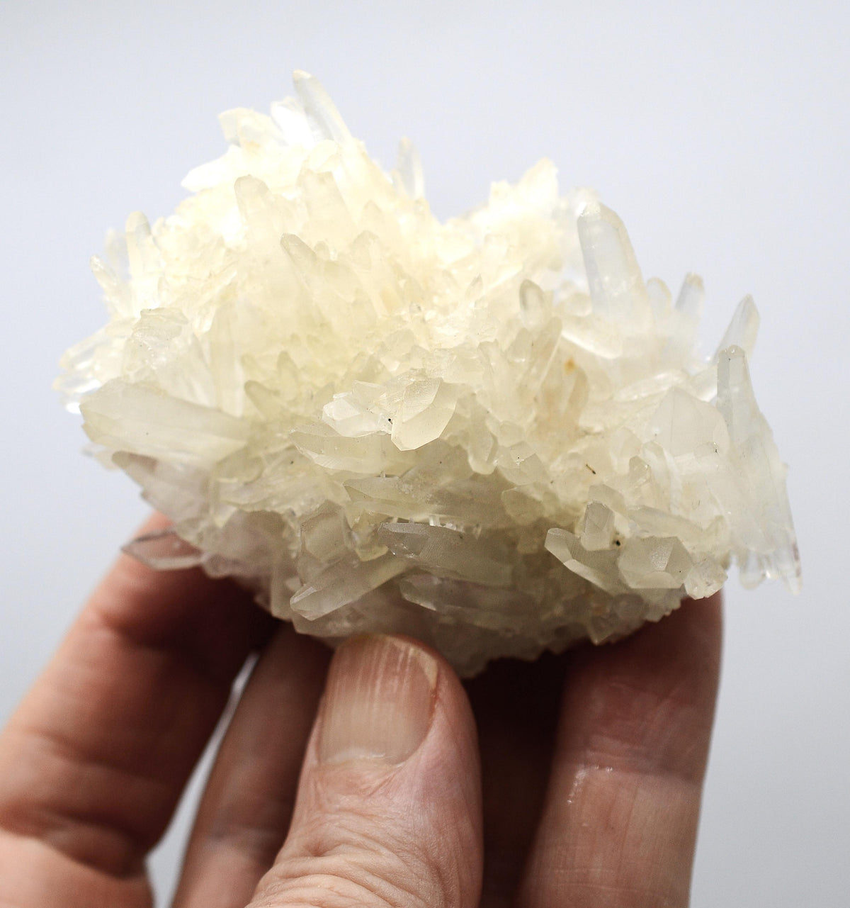 Himalayan Quartz Cluster