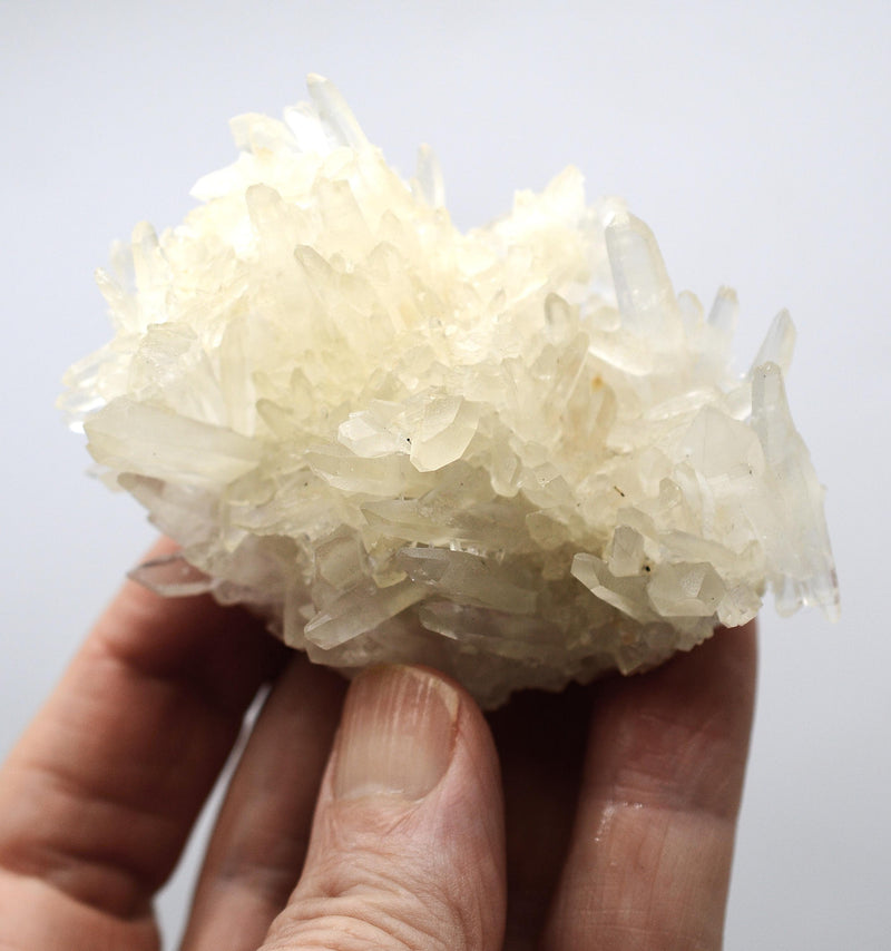 Himalayan Quartz Cluster