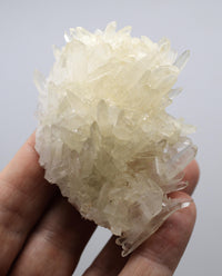 Himalayan Laser Quartz Cluster