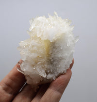 Himalayan Laser Quartz Cluster