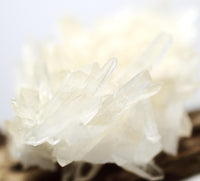 Himalayan Laser Quartz Cluster