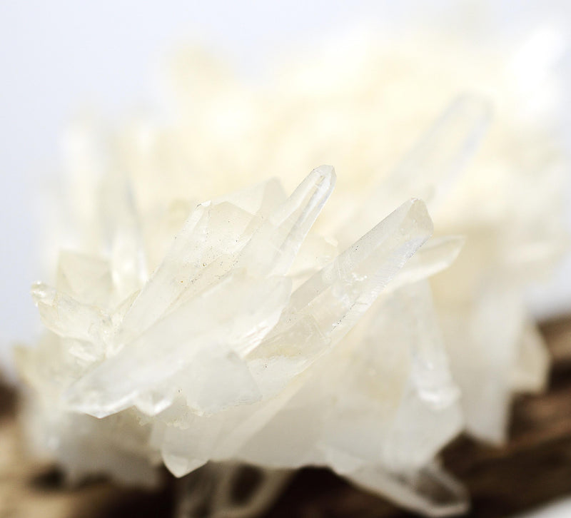 Himalayan Laser Quartz Cluster
